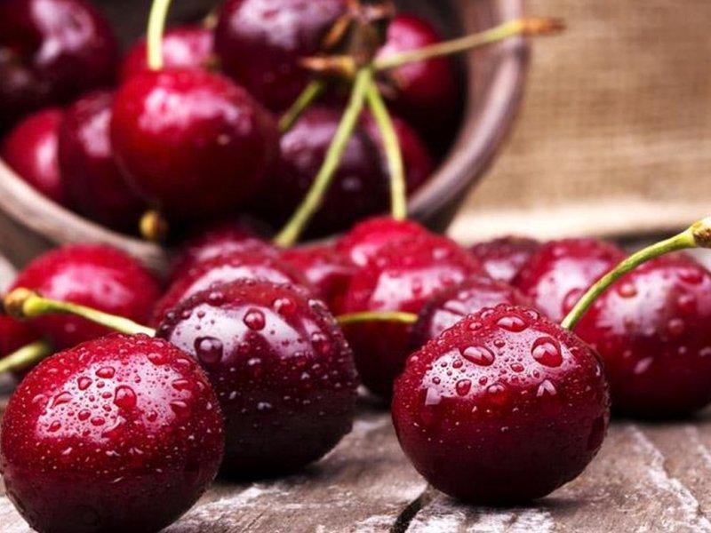 Вишня купить саженцы из питомника в Михайловке